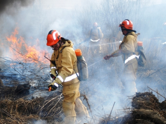 Три лесных пожара площадью 91 гектар горят в Хабаровском крае
