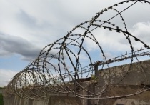Наркотики предположительно были обнаружены в среду сотрудниками СИЗО «Бутырка» при проверке посылки, адресовавшейся одному из заключенных