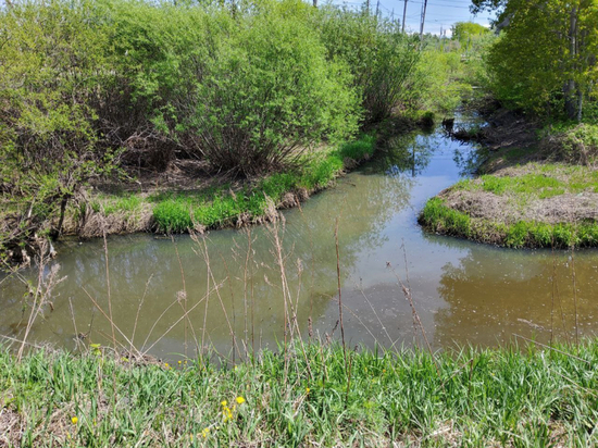 Русла малых рек очистят в Хабаровском крае за 130 миллионов