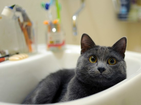 В четверг электричество и холодную воду отключат в Чехове