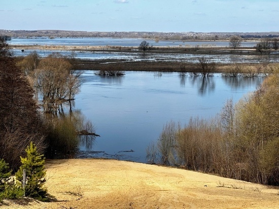 Русло реки Солотчи на окраине Рязани планируют расчистить до 25 ноября