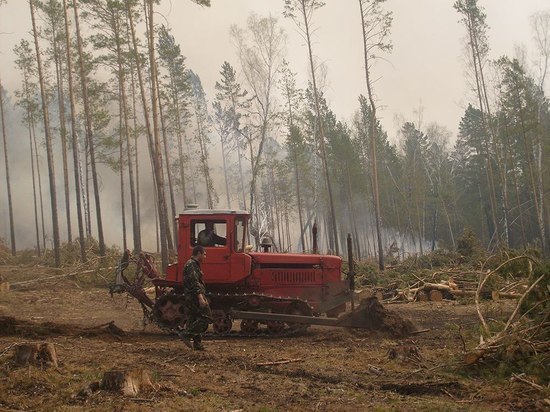 6 лесных возгораний потушили в Приангарье