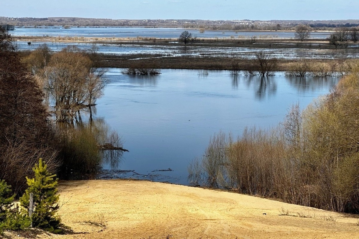Река солотча. Солотча Рязань. Рязань весной. Рязань весной фото.
