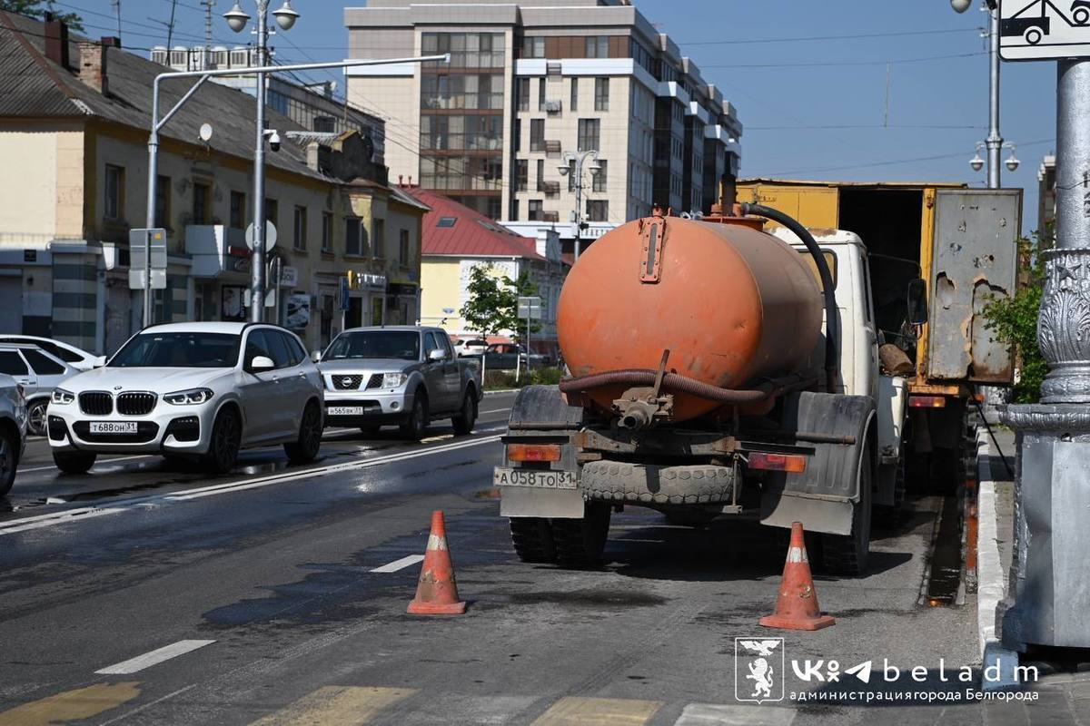 белгородского полка 85 а