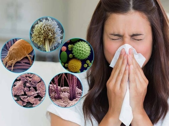 Аллерголог: укрепление иммунитета не поможет облегчить симптомы аллергии