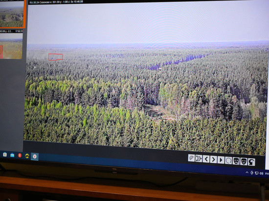 Еще 38 камер видеонаблюдения установят в Вологодской области для отслеживания лесных пожаров