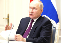 Президент РФ Владимир Путин в ходе дистанционного совещания о ходе весенних полевых работ заявил, что рассчитывает на хороший урожай в этом году