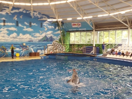 Дельфинарий в парке имени 1 мая в Нижнем Новгороде могут закрыть