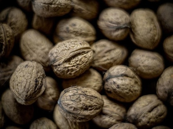 В ДНР увеличат урожайность орехов