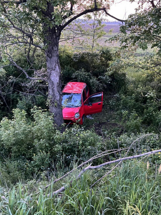 В Воронеже пенсионерка въехала в дерево и погибла