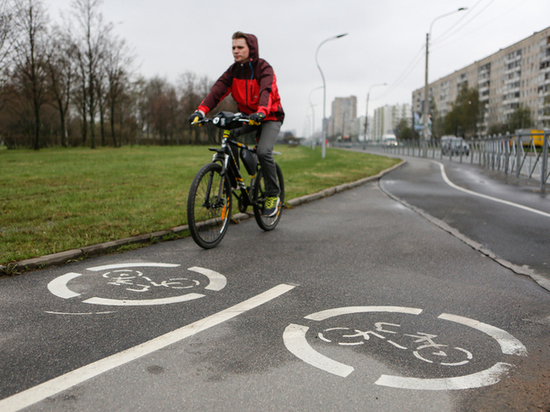 В Калининграде нанесут новые разметки для велосипедистов