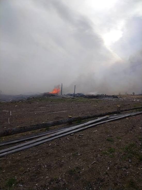 В Челябинской области лесной пожар подобрался к поселку