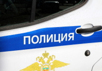 Представители Следственного комитета сотрудники полиции Санкт-Петербурга проводят расследование в Выборгском районе Северной столицы, где нашли тело женщины и пострадавшего мужчину с травмами