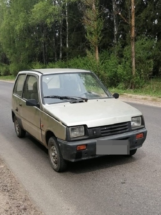 Смоленской полиции потребовалось 20 минут, чтобы раскрыть дело об угоне