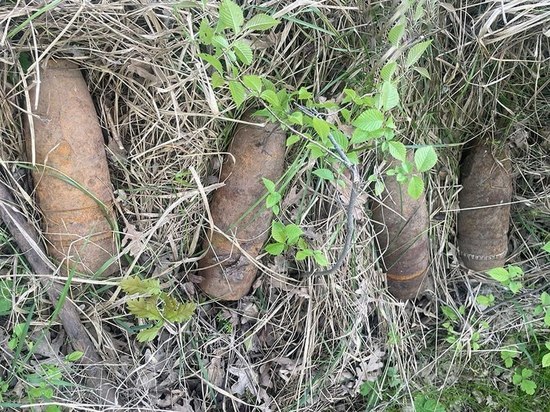 Взрывотехники Росгвардии ликвидировали 32 боеприпаса времён ВОВ