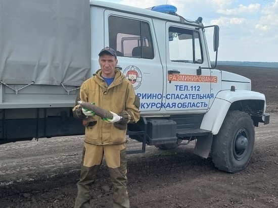 В Горшеченском районе Курской области обнаружили артснаряд