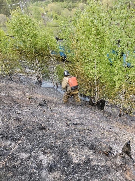 На Южном Урале локализовали крупный ландшафтный пожар