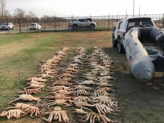 Пограничники задержали двоих браконьеров с крабом на Сахалине