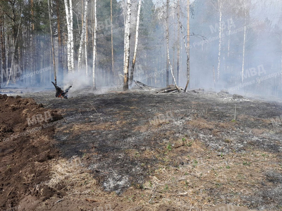 Башкирские полицейские установили виновников двух лесных пожаров