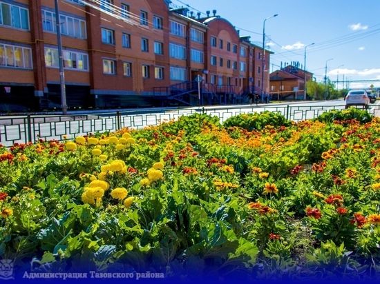В Тазовском высадят больше 60 тысяч цветов и деревьев