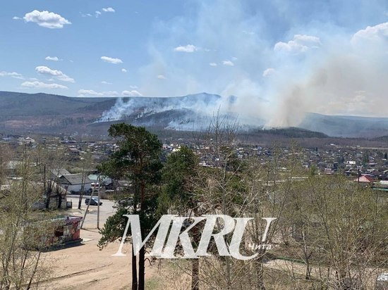 Лесной пожар на Молоковке в Чите ликвидировали на площади 70 гектаров