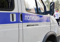 Жительница Стрежевого, 47-летняя женщина, сообщила о краже ее личных данных на портале "Госуслуги"
