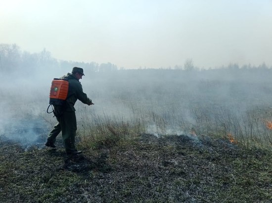 В Крутинском районе вторые сутки тушат лесной пожар