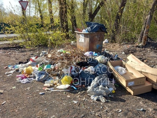 Кемеровчанка пожаловалась на двухнедельную свалку