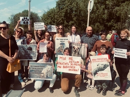 28 мая в Рязани пройдёт митинг против усыпления бездомных животных