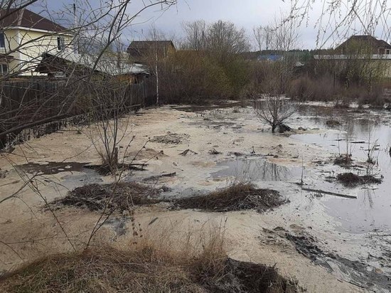 Талые воды разрушили мосты и подтопили 5 домов в СНТ в Чите