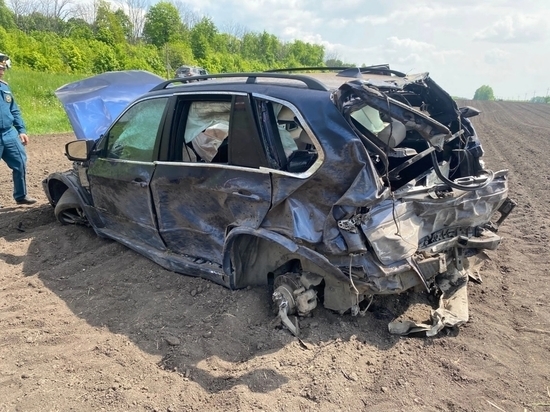 В Измалковском районе в ДТП погиб водитель иномарки