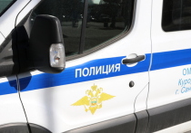 В номере одного из отелей Санкт-Петербурга нашли труп беременной российской порноактрисы