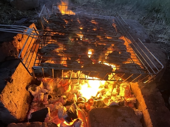 Пензенцам рассказали, во сколько обойдётся пикник на природе