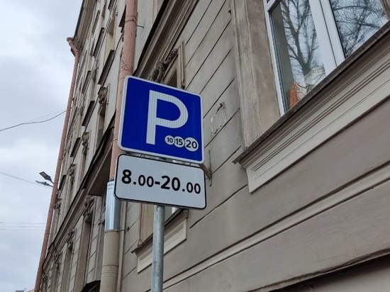 «Это прямое добро»: активист Костров поддержал расширение платного парковочного пространства в центре Петербурга