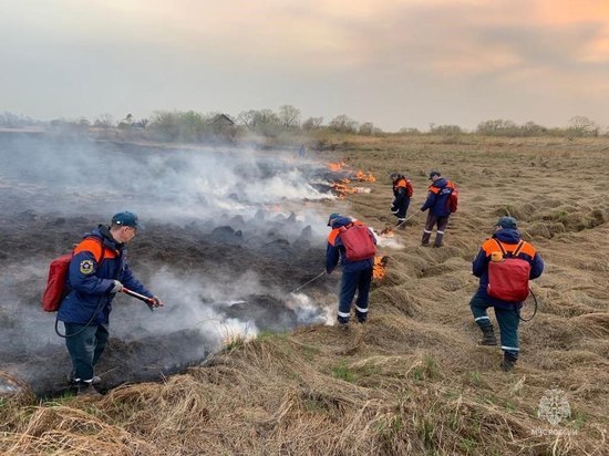 Загоревшуюся сухую растительность потушили на острове Дачный в Хабаровске