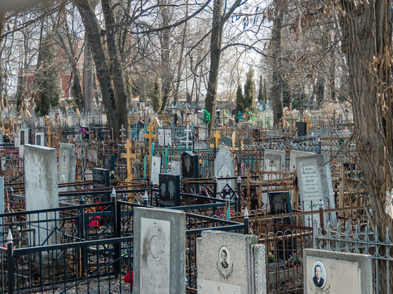 В Сараевском районе 47-летний мужчина напал на кладбище на пенсионерку