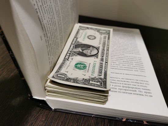Курс доллара в Хабаровске на 20 мая спустился на уровень в 79 рублей