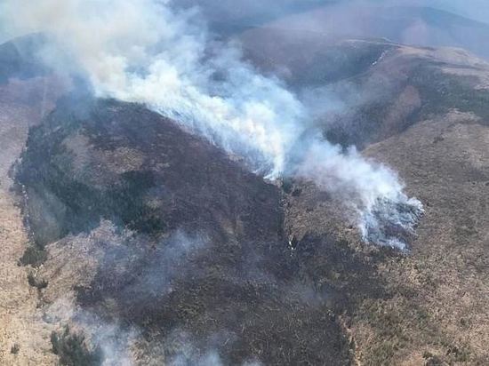 Бушующий четыре дня пожар потушили в национальном парке «Бикин»