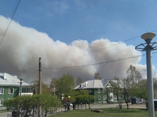 Погорельцам Смолино дадут участки в других районах Кургана