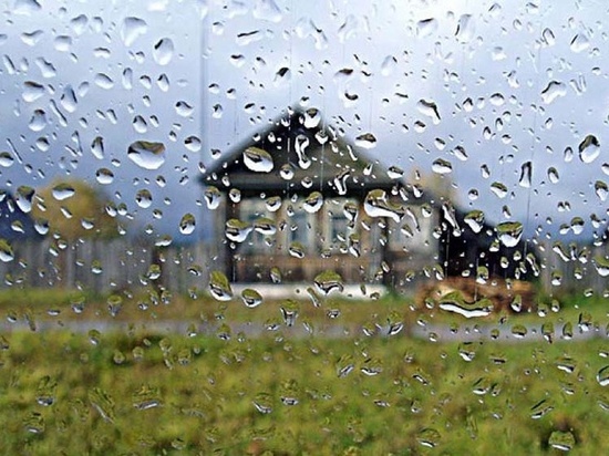 Костромские прогнозы: сегодня ветер, а в выходные — дожди