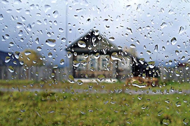 Костромские прогнозы: сегодня ветер, а в выходные — дожди