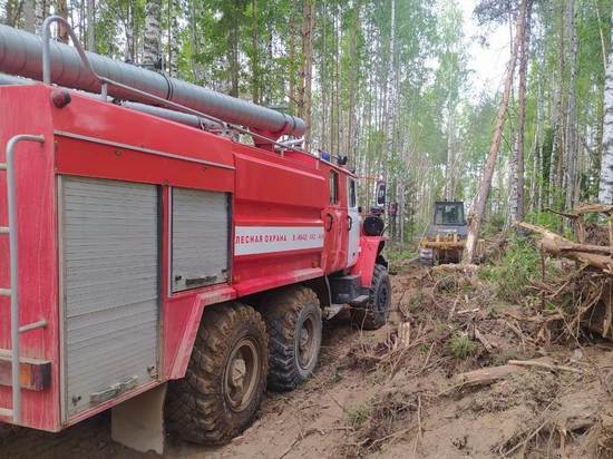 Лесной пожар в Парфеньевском районе Костромской области полностью потушен