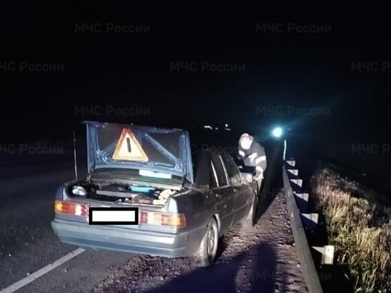 В Калужской области Mercedes сбил животное