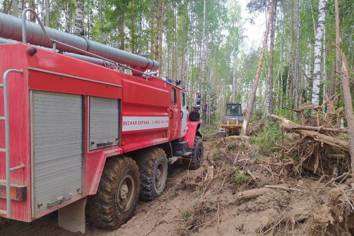 Лесной пожар в Парфеньевском районе Костромской области полностью потушен