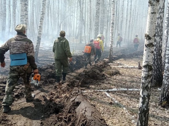 В Омской области ликвидировали крупный лесной пожар в Крутинском районе