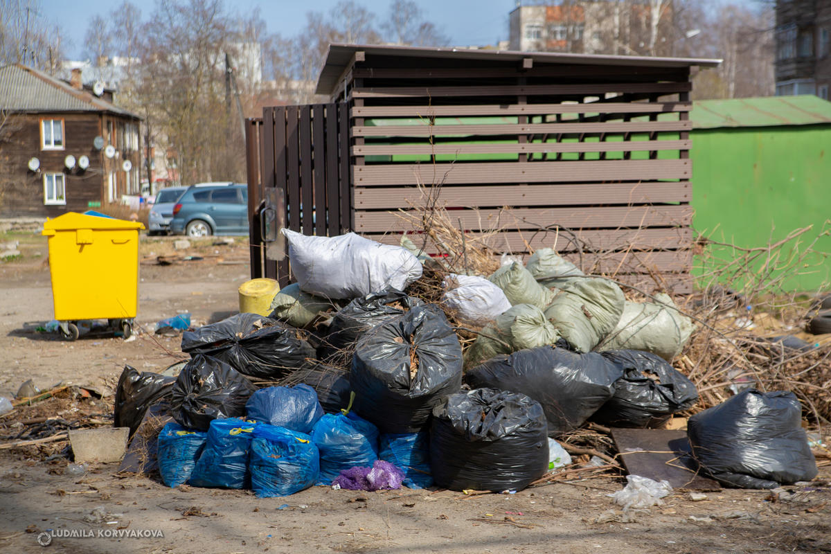 Жители Петрозаводска жалуются на проблему мусора - МК Карелия