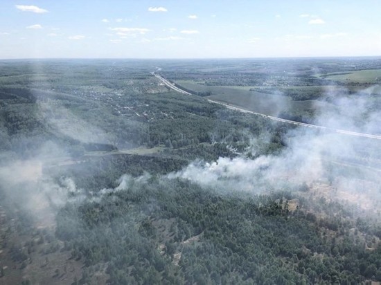 В Московской области за прошедшую неделю произошло 13 лесных пожаров