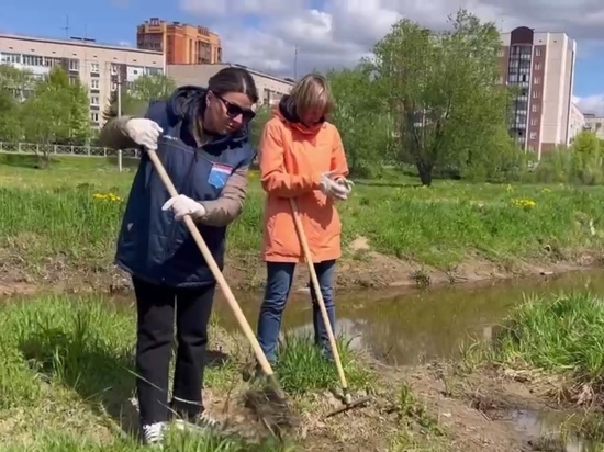 Берег Смоляного ручья в Тосненском районе очистили и озеленили