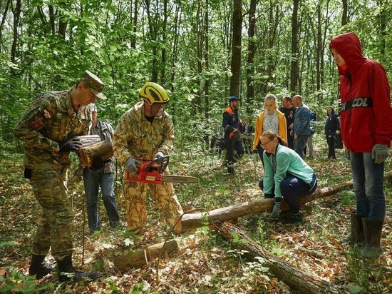 На заготовку 40 кубометров дров в Курске вышло порядка 85 человек