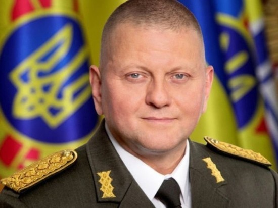 На Украине объяснили слухи о смерти Залужного ситуацией в Артемовске
